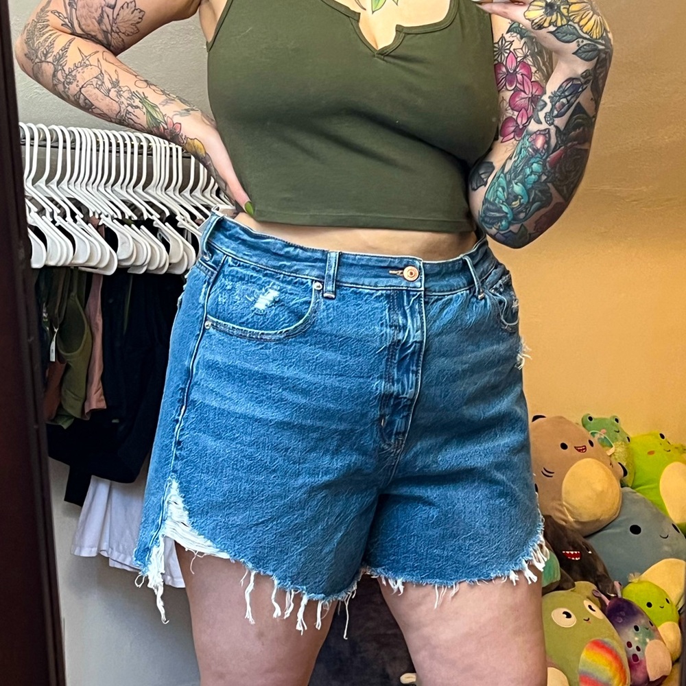 NWT AE Highest Rise Mom Short